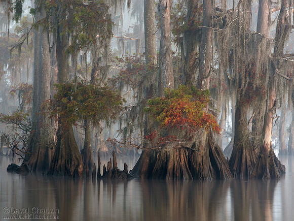 Thinning Fog (2007_0764)