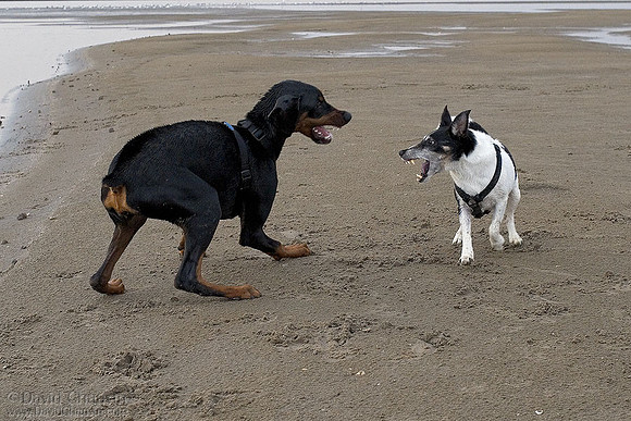 Friendly Disagreement 2