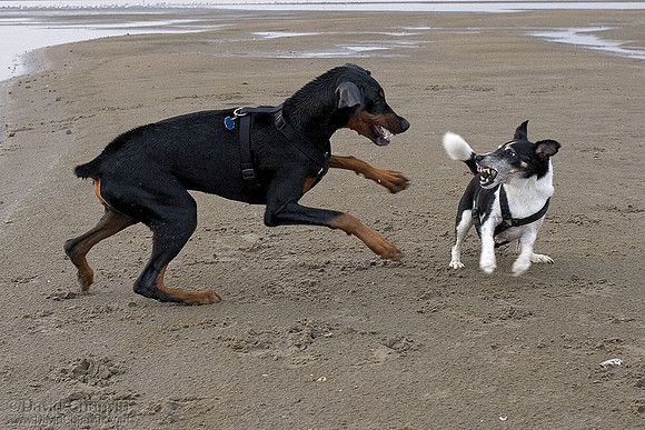 Friendly Disagreement 3