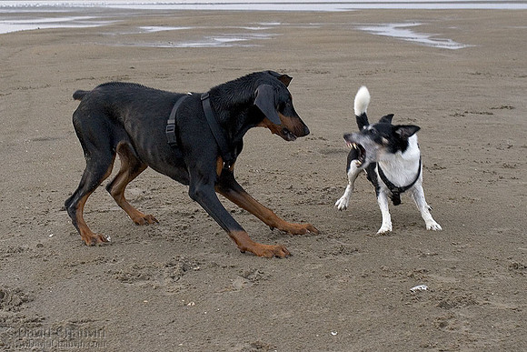 Friendly Disagreement 4