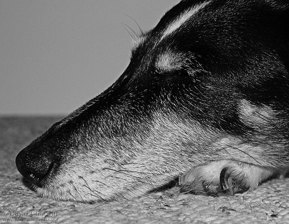 Asleep