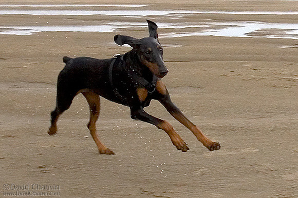 In Stride