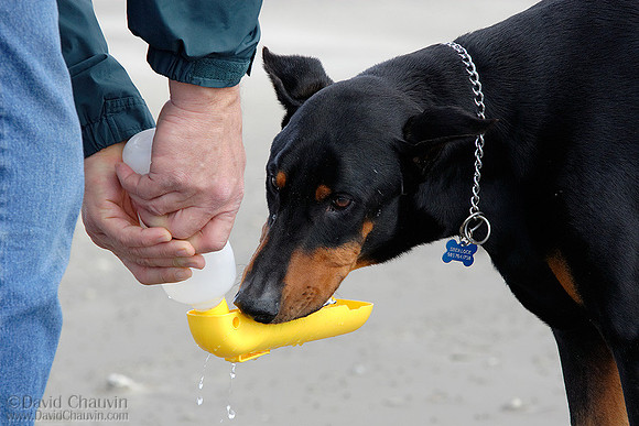 Mr. Thirsty