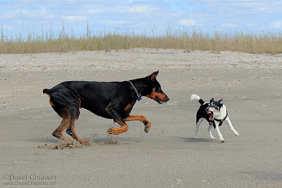Back Off!