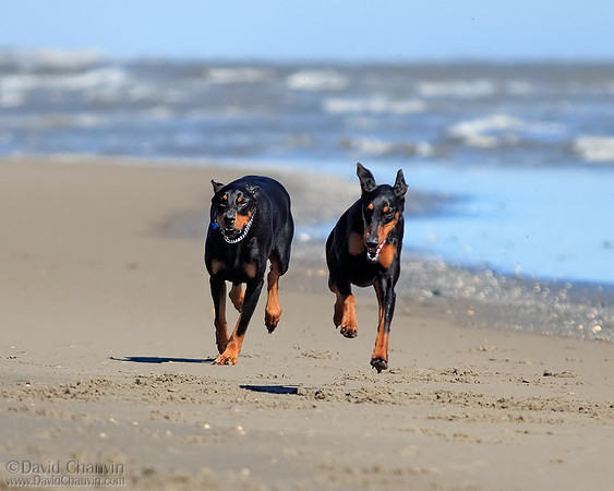 Running Mates