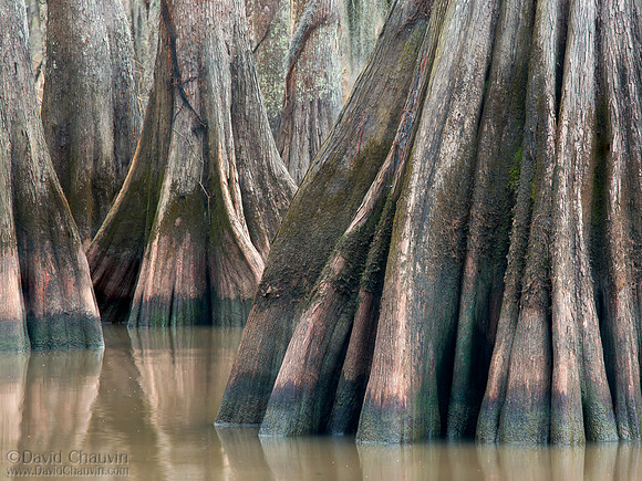 Buttress (2011_7764-65)