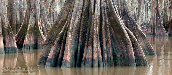 Buttress Pano (2011_7764-67)