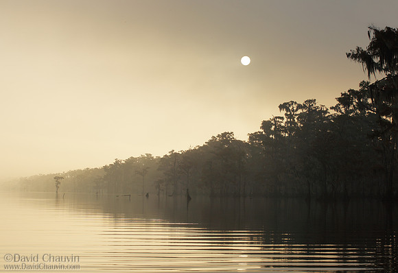 Fogged In (2007_0690)