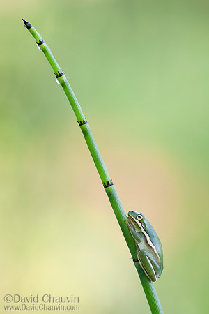 Almost There (2010_9894)