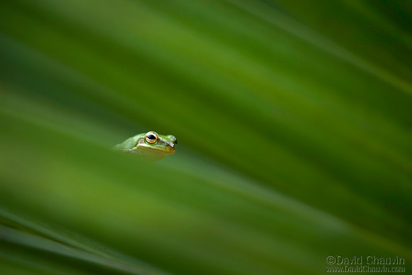 Over the Edge (2011_0834)