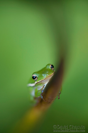 Hang On (2011_1316)