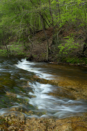 Kisatchie (2013-3178)