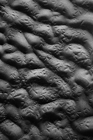Tracks (2013-3464)