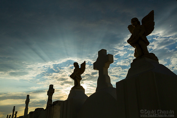 Golden Meadow Cemetary (2013-3635)