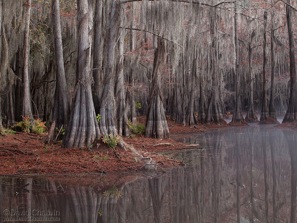 Quiet Cove (2012-6620)