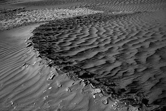 Desert Bones (2013-2586)