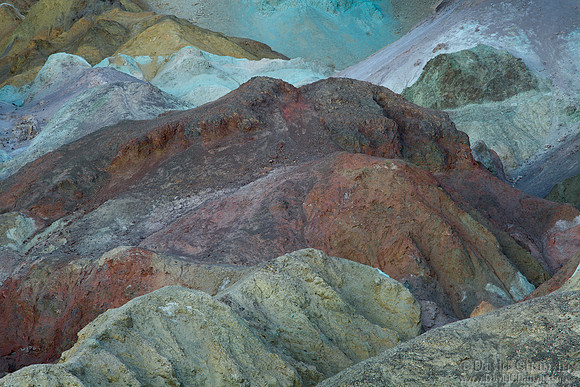 Wonderland (2013-2973)