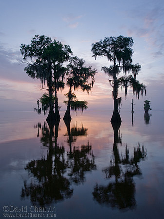 Summer Reflection (2008_2427)