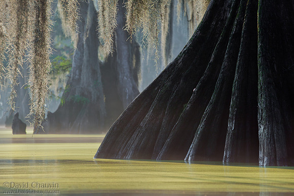 Edges (2011_1591)