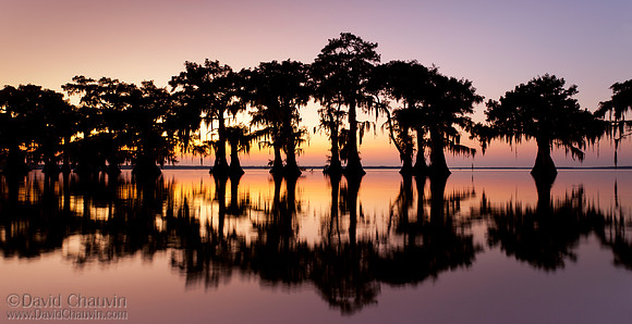 Sunset Silhouette (2011-1716)