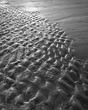 Shimmer (2008_2609)