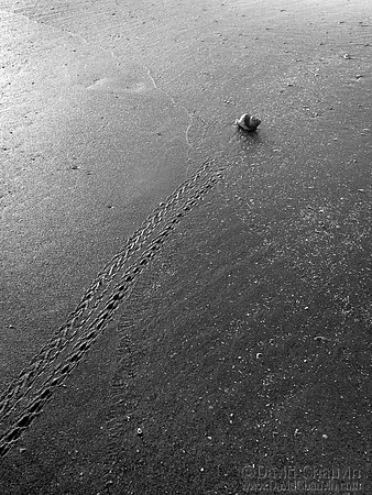 On the Move (2008_2618)