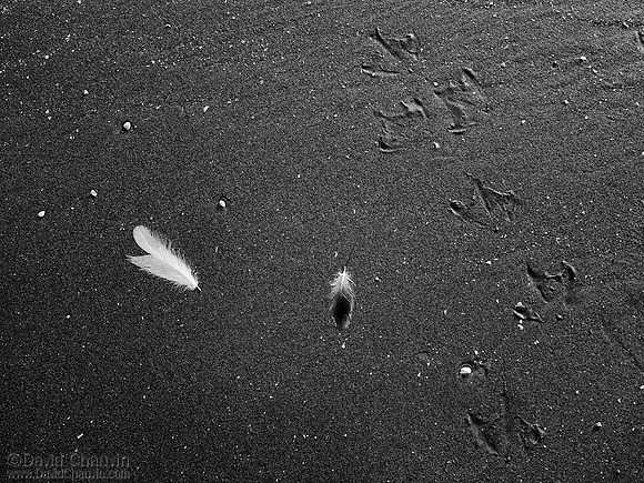 Evidence of Passing (2008_2626)