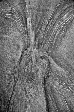 Altered State II (2011-3889)