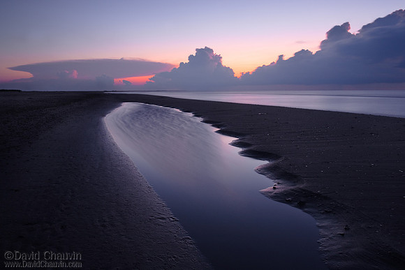 Summer Morning (2009_5011)