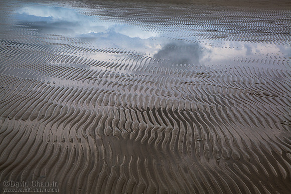 Transition (2012-1503)