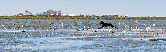 2007_9359