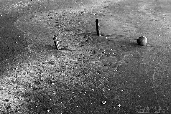 2007_1431