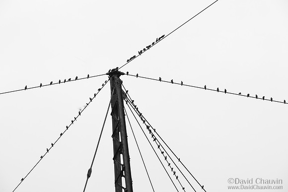 2009_5213