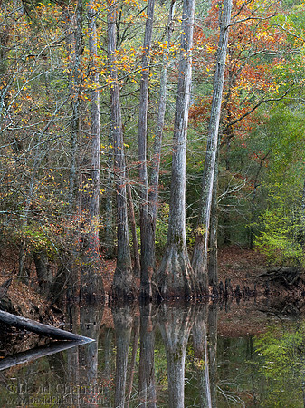 Saline II (2009_5914)