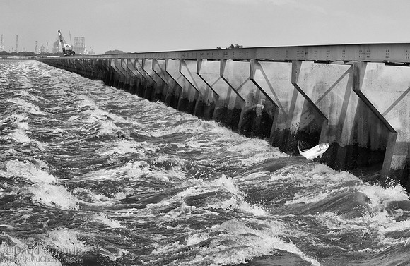 2011_0601