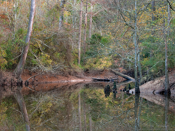 Saline (2009_5912)
